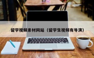 丰城留学视频素材网站（留学生视频有导演）