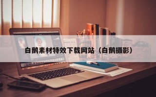 丰城白鹅素材特效下载网站（白鹅摄影）